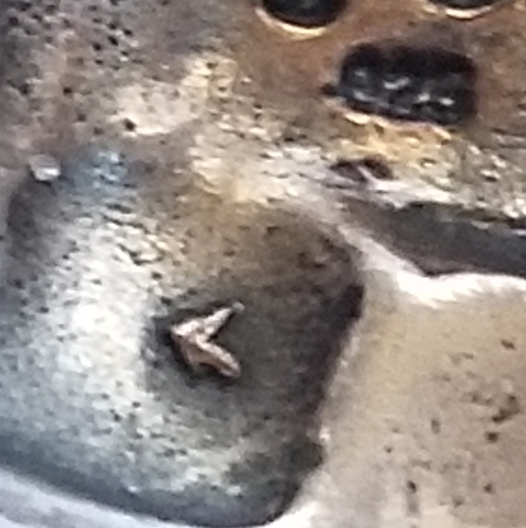 Rare Silpada Sterling Silver Equestrian Horse Ring - Picture 9 of 11